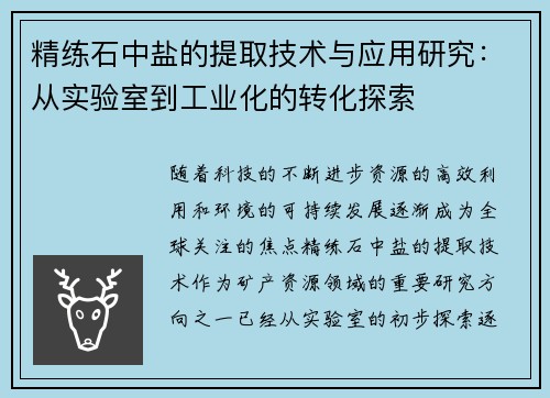 精练石中盐的提取技术与应用研究：从实验室到工业化的转化探索